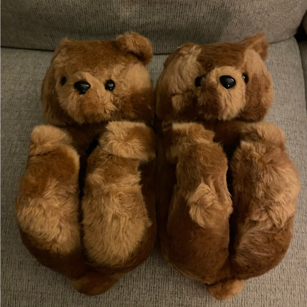 Brand new never been worn teddy slippers size Large fits size 7 and 8 shoe size